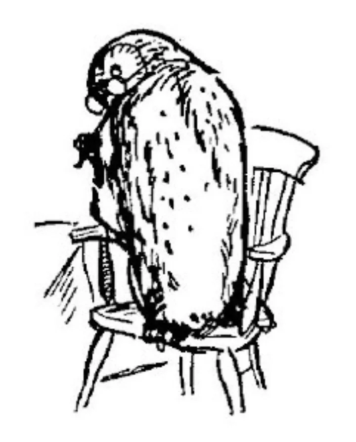 E. H. Shepard illustration of Christopher Robin with Eeyore and Owl from Chapter VI
