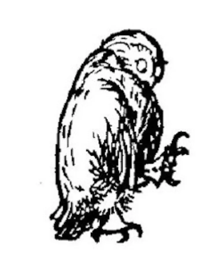 E. H. Shepard illustration of Christopher Robin with Winnie-the-Pooh, Eeyore and Owl from Chapter X